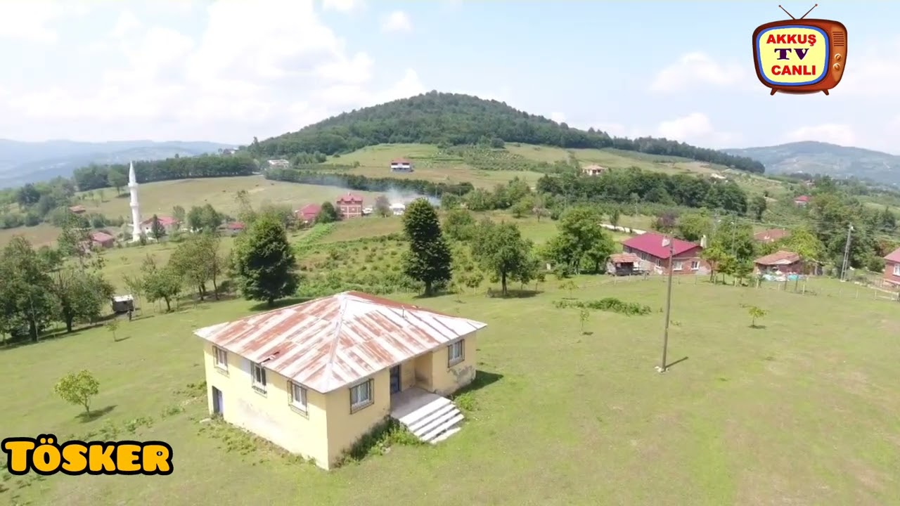 Ordu akkuş Damyeri tösker  mahallesi  mevkii