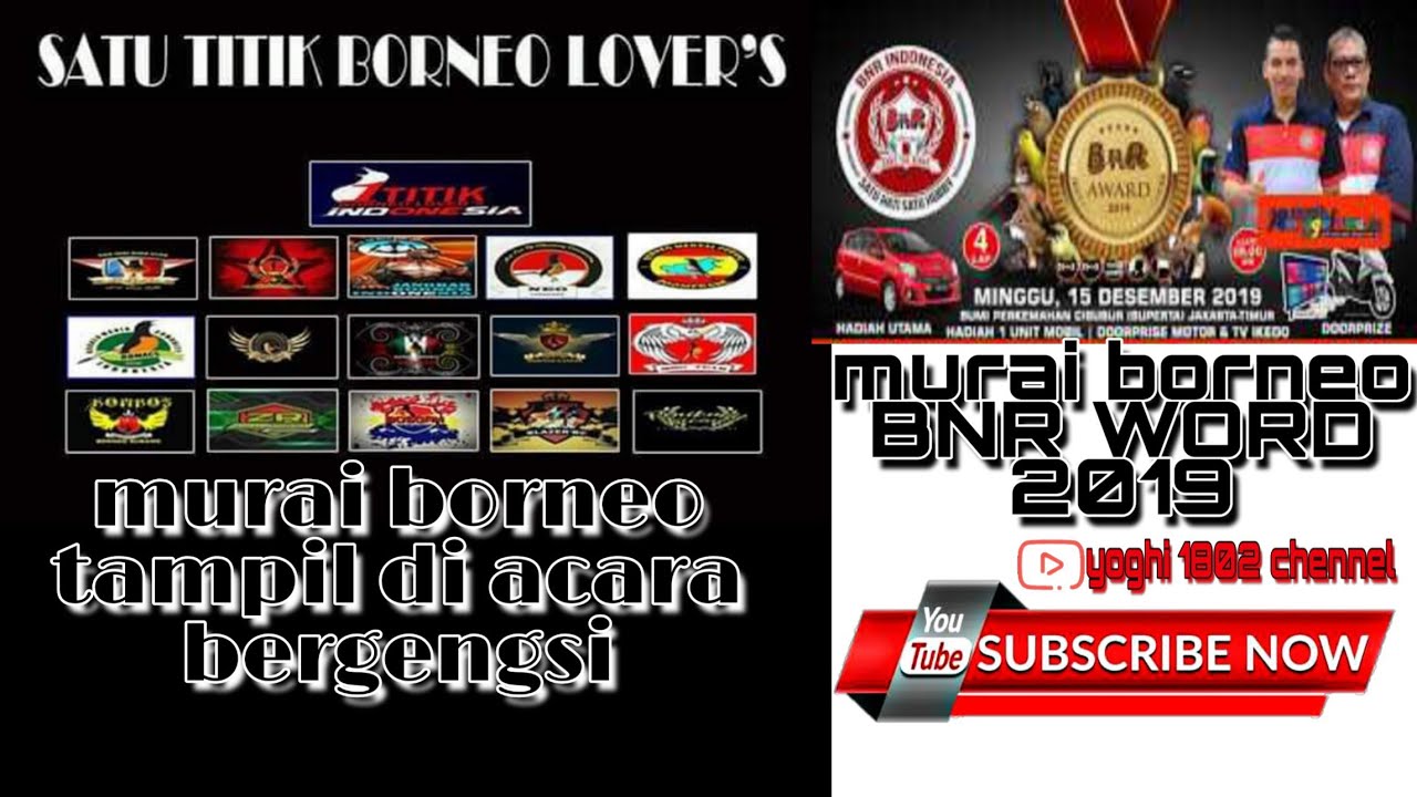 Murai borneo BNR AWARD 2019 sesi 1 - YouTube