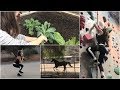 Casual Weekend Vlog #2 (Building Garden Table, Rock Climbing, Outdoor Chores) Casual Weekend Vlog #2 (Building Garden Table, Rock Climbing, Outdoor Chores)