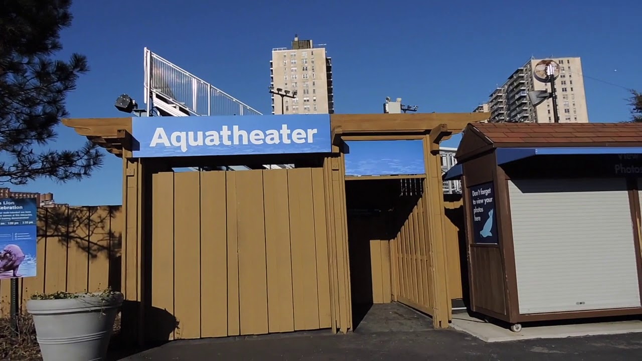 NY Aquarium #2