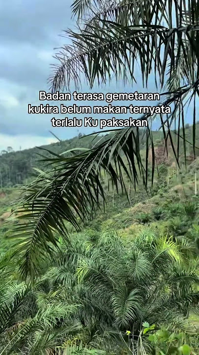 gemetar di sa'at sawitku berumur1thun#shorts #beranda #kebunsawit