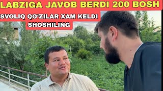 200 BOSH QO‘ZI 1 CHI QO‘L ARZON JOYINI TOPDIK