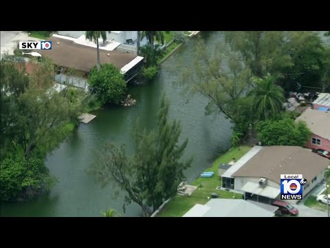 BSO: Man drowns after jumping into Hallandale Beach canal during police pursuit