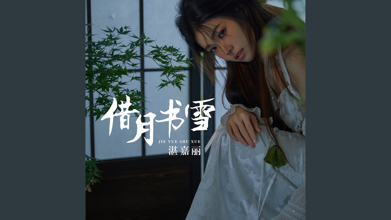 借月书雪