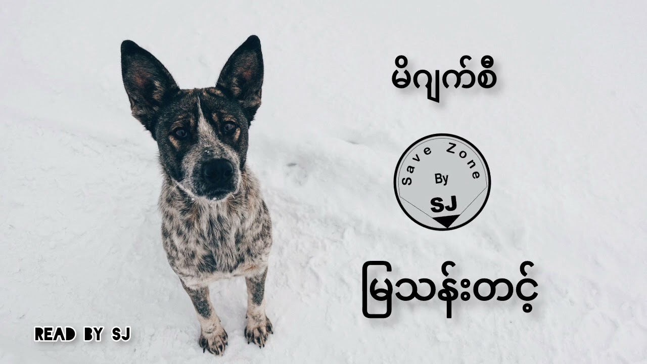 မြသန်းတင့် - မိဂျက်စီ