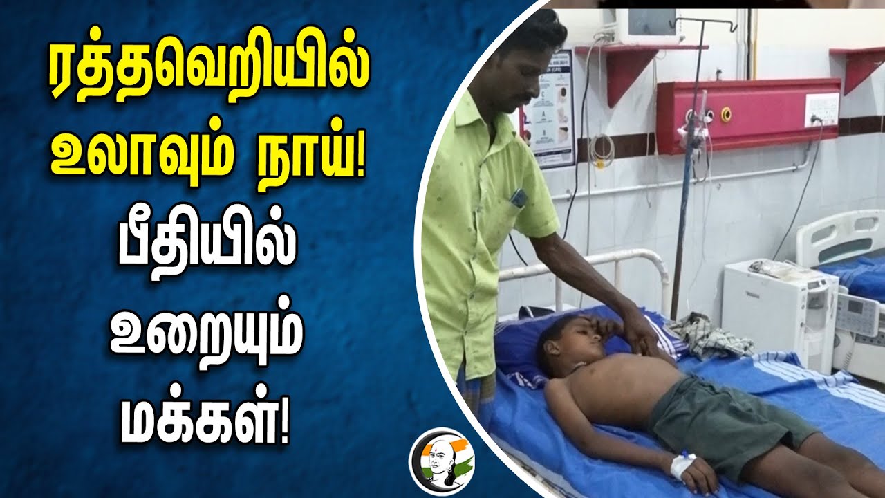 ரத்த வெறியில் உலாவும் நாய்! பீதியில் உறையும் மக்கள் | Dog Bite at Theni | Bodi