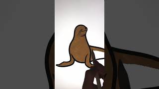 How To Draw Animals | Drawing and Coloring Sea Lion #art #drawing #howtodraw #animals