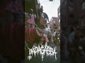 Day 10 liquid dnb