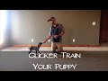 Clicker Training Your New Puppy - Part 1 - Upland Bird Dog Training