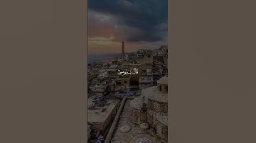 تلاوة مؤثرة القارئ ريان المحيسني سورة القصص