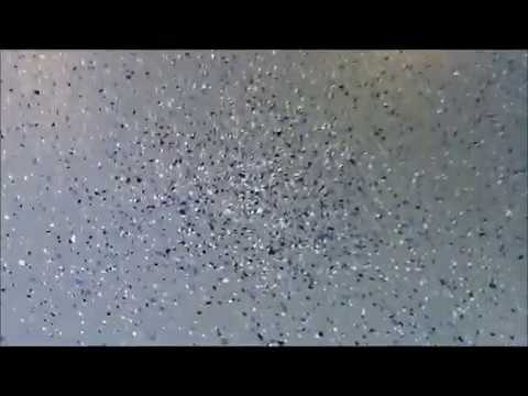 Garage Floor Epoxy P 2 Youtube