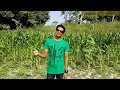 Murad Khan Song 