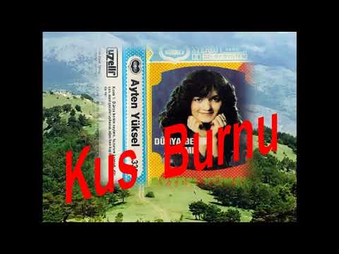 Ayten Yüksel - Agac Basi Kus Burnu - ( Sönmez 339 ) - Dünya Benim Neyime