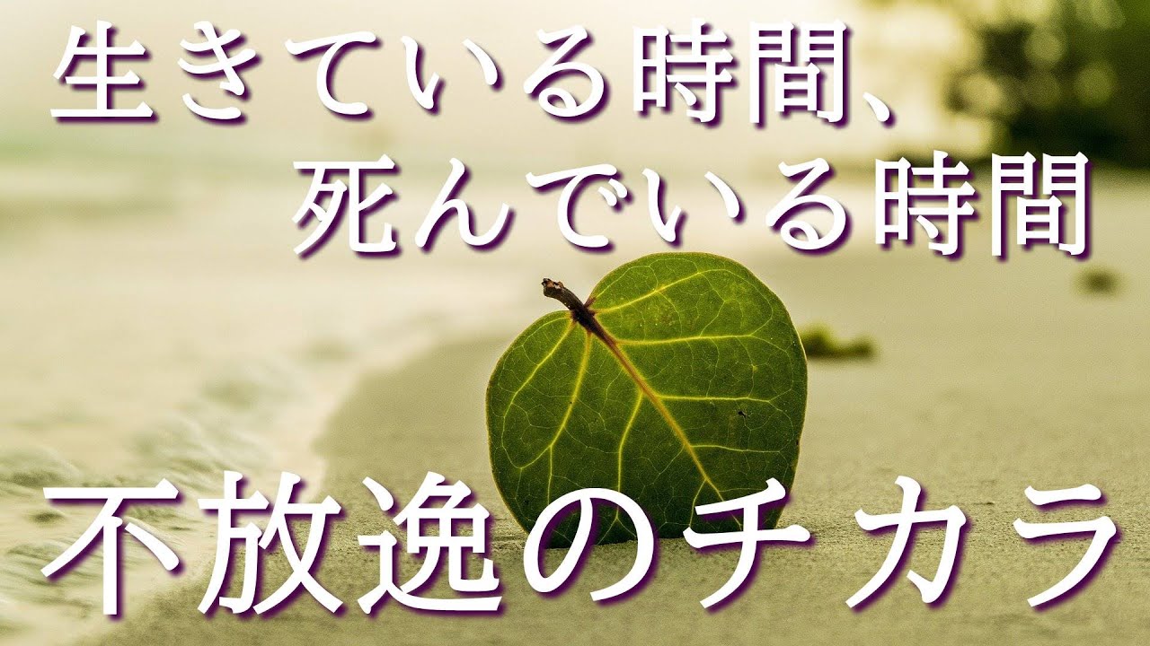 生きている時間、死んでいる時間ーー不放逸のチカラ｜スマナサーラ長老