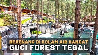 Wisata Viral di Lereng Gunung Slamet : Guci Forest Tegal