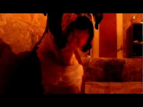 მუშუს მოსყიდვას ცდილობენ