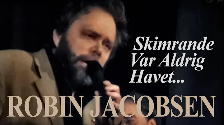 Robin Jacobsen/S Skimrande Var Aldrig Havet // VHO