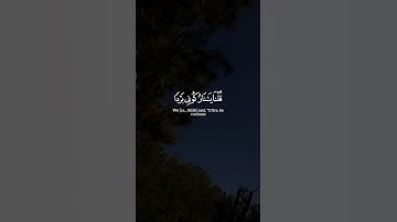 محمد أيوب | #سورة_الأنبياء #قرآن #القرآن_الكريم #قران_كريم #quran