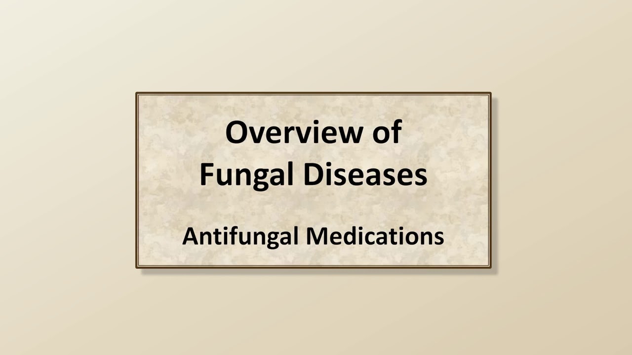 Anti fungal drugs pharmacology YouTube