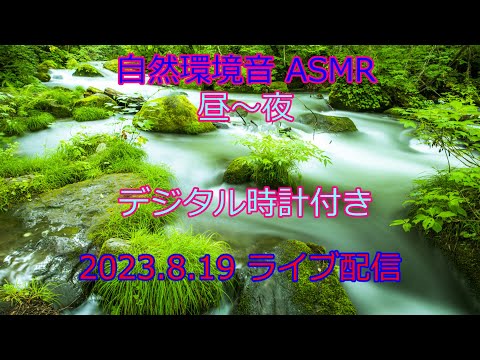 自然環境音 癒し 時計動画 ASMR 23.8.21 19:00 雷雨  雨風の音 虫の鳴き声 昼～夜  ライブ配信