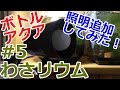 【ボトルアクアリウム】LED電球lda7n-g-e17-6t2を使ってみた！【わさリウム＃5】