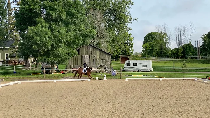 Jessie Stearns- Canadian Eventing Entry Level Test 2