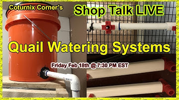 Shop Talk LIVE - Quail Watering Systems