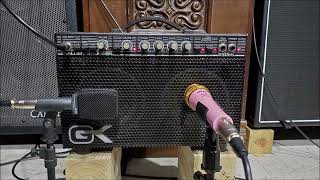 Gallien Krueger 250ML - Iron Maiden - stock combo speakers