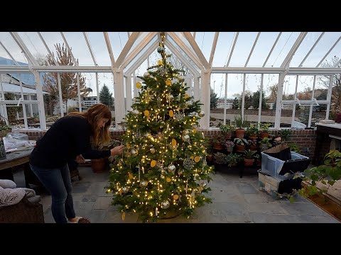 تصویری: درختان کریسمس – نکاتی برای ساختن تاپیاری کریسمس