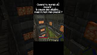 Quand tu devrais être mort... mais Minecraft décide autrement #Minecraft #Elytra #Shorts