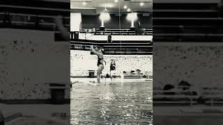 203B 1Meter diving - Ripfest free agent