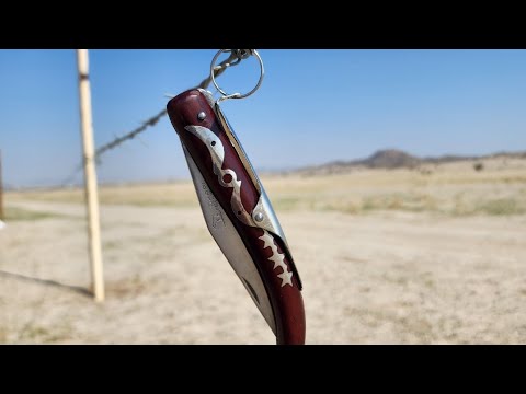 احلى نومه في البر مع مطوه قرن غزال الالمانيه 