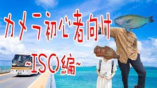 魚でも分かるカメラ初心者講座マニュアルモードを使おう！~ISO編~