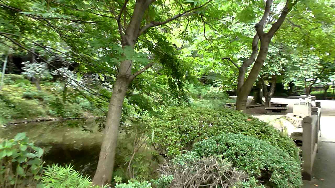 世田谷区岡本公園8月31日2011年 YouTube