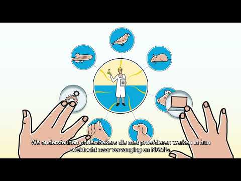 The 3Rs Centre Utrecht Connecting the 3R's and NAMs by Instantie voor Dierenwelzijn Utrecht
