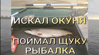 картинка: Щуки на окуневый воблер. Окунь не клюёт. Почему?