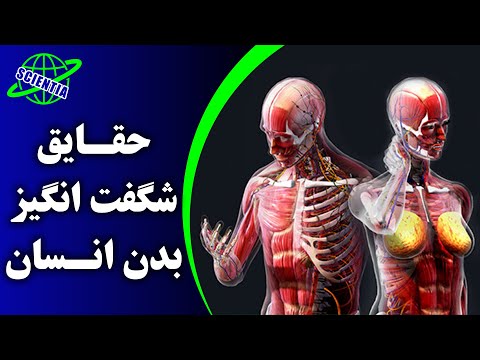 حقایق شگفت انگیز بدن انسان | Human body