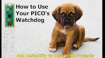 How to use the PICO Watchdog Timer