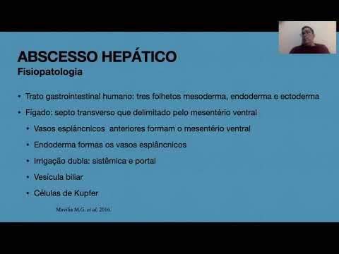 Abscesso hepático