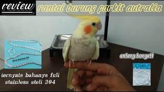 review rantai burung parkit australia !! can cockatiel