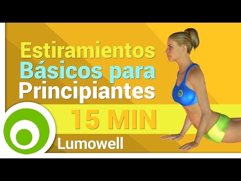 Estiramientos para Principiantes