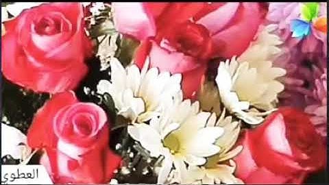 سورة الفلق،، الشيخ صلاح بو خاطر