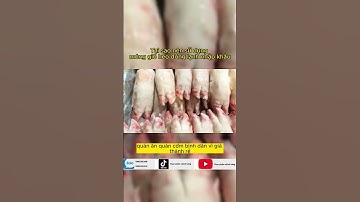 Tại sao nên sử dụng móng giò heo đông lạnh nhập khẩu ? #monggioheo #gioheo #changio