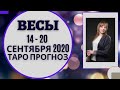 Весы Таро прогноз на неделю с 14 го по 20 е сентября 2020 года Весы Таро прогноз на неделю с 14 го по 20 е сентября 2020 года