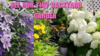 TINY BACKYARD GARDEN TRANSITION FROM SPRING TO FALL | PLANTS AND FLOWERS WITH NAME #garden #flowers