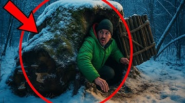 Xây nhà cây cổ thụ giữa rừng tuyết, sống sót cực chill