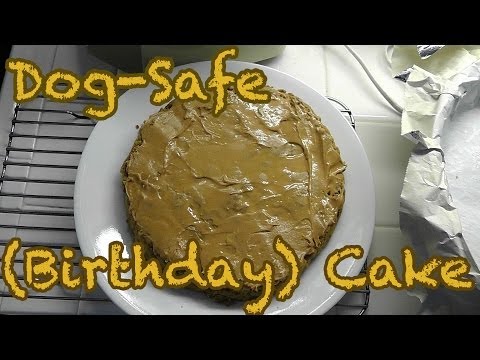 dog-safe-birthday-cake