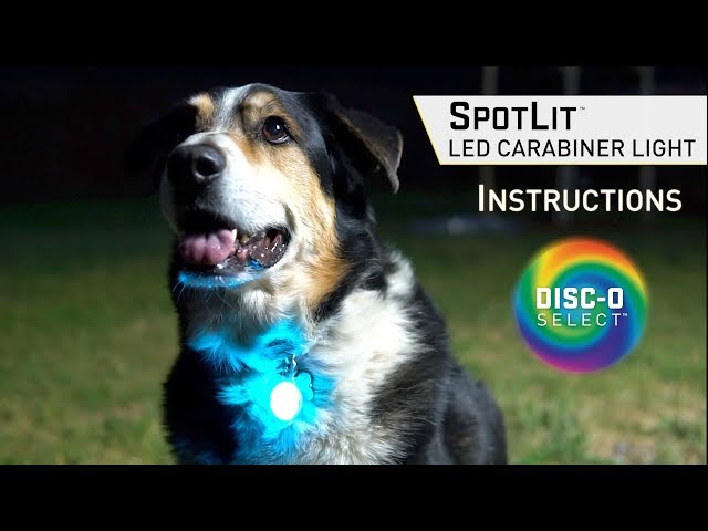 Nite Ize SpotLit - LED Collar Light - Howl