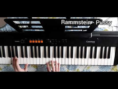 rammstein---pussy-(piano-cover)