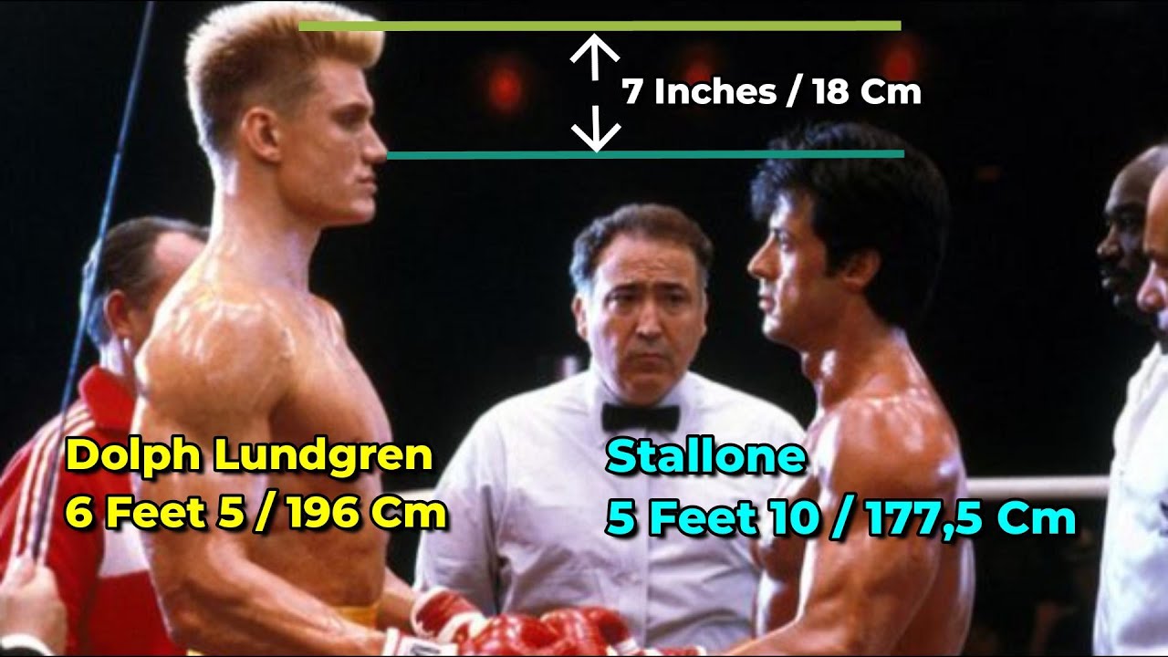 Stallone HEIGHT, Sly Compared to Lundgren, Schwarzenegger, Carl